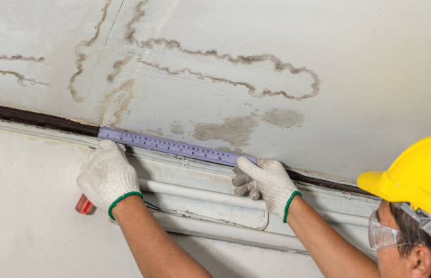 Reliable Water Damage contractor in Mount Pleasant, NC by Water Damage Irwin
